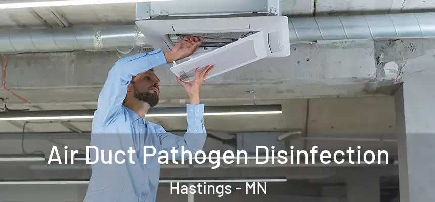  Air Duct Pathogen Disinfection Hastings - MN
