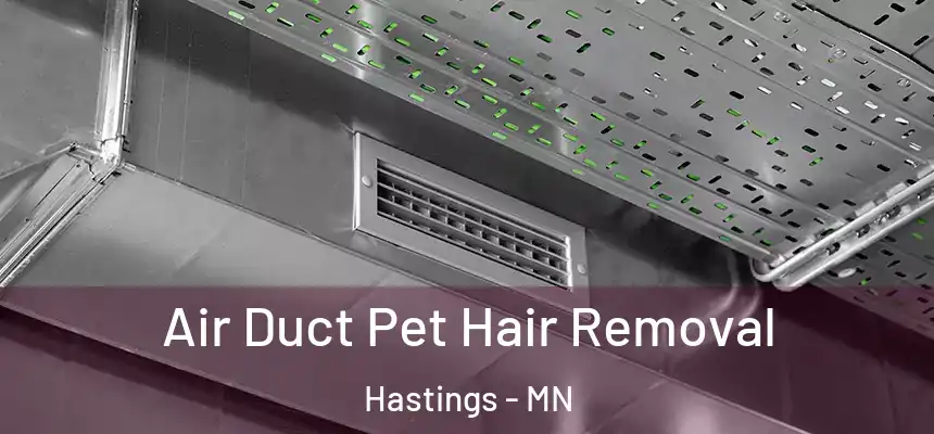  Air Duct Pet Hair Removal Hastings - MN