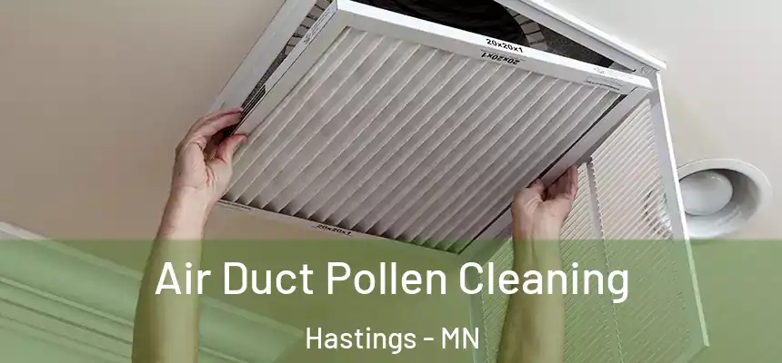  Air Duct Pollen Cleaning Hastings - MN
