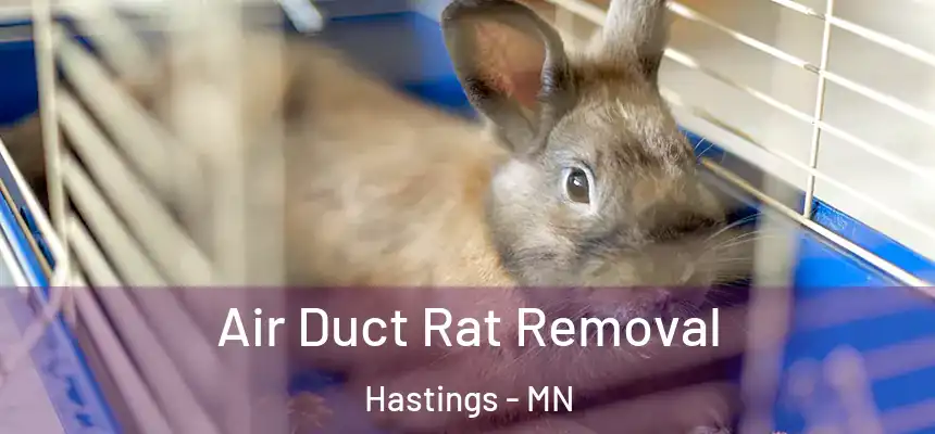 Air Duct Rat Removal Hastings - MN