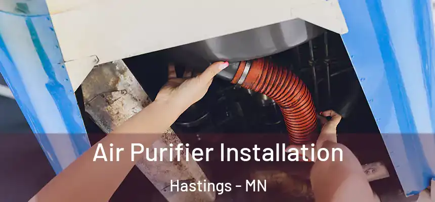  Air Purifier Installation Hastings - MN