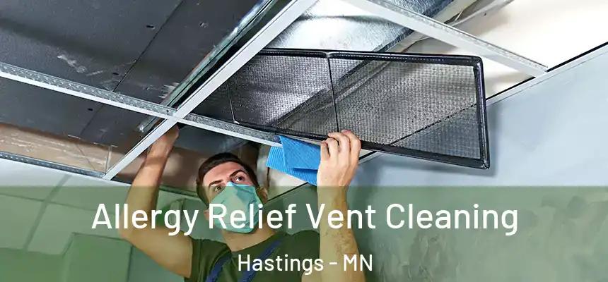  Allergy Relief Vent Cleaning Hastings - MN