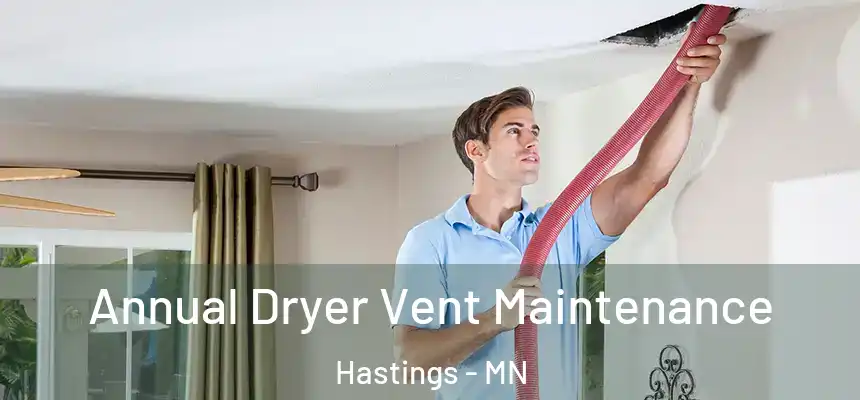  Annual Dryer Vent Maintenance Hastings - MN