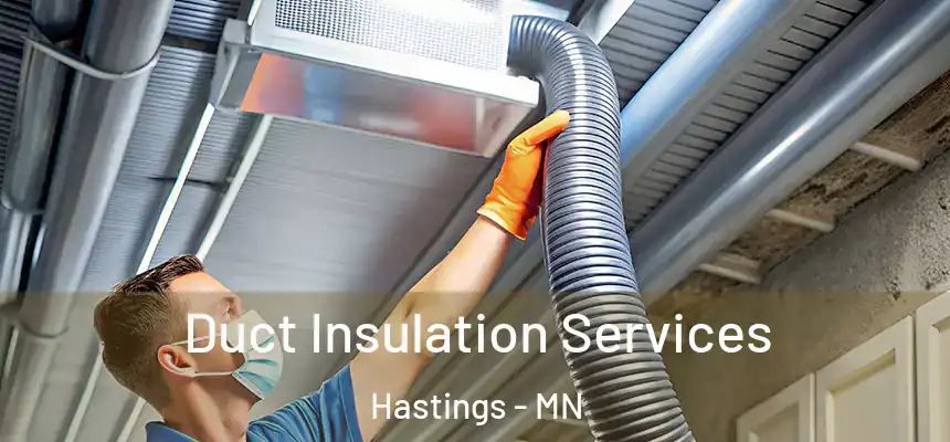  Duct Insulation Services Hastings - MN