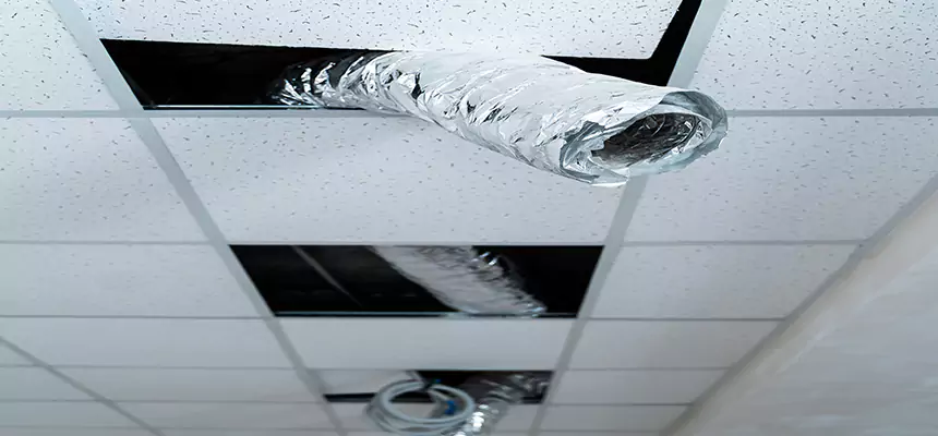 Affordable HVAC Sanitizing After Pest Removal in Hastings