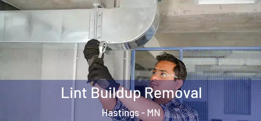  Lint Buildup Removal Hastings - MN
