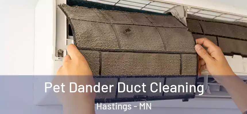  Pet Dander Duct Cleaning Hastings - MN