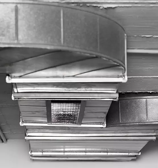 Professional Air Duct Pet Hair Removal in Hastings, MN