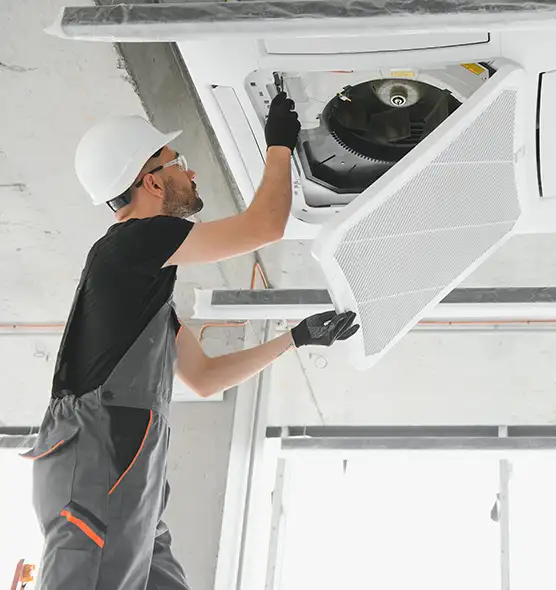 About Air Duct Rodent Removal in Hastings, MN