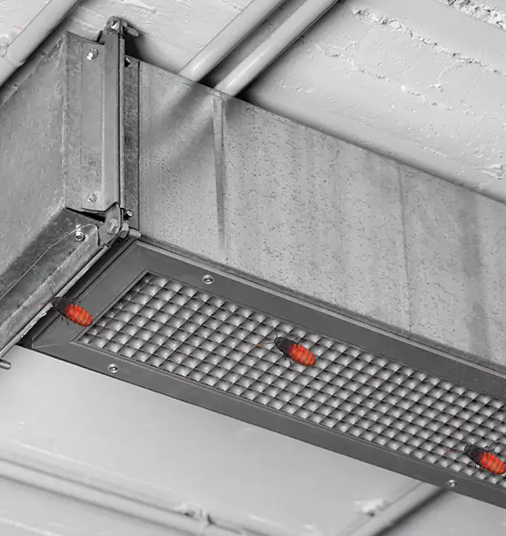 Affordable Insect Removal from Air Ducts in Hastings, MN