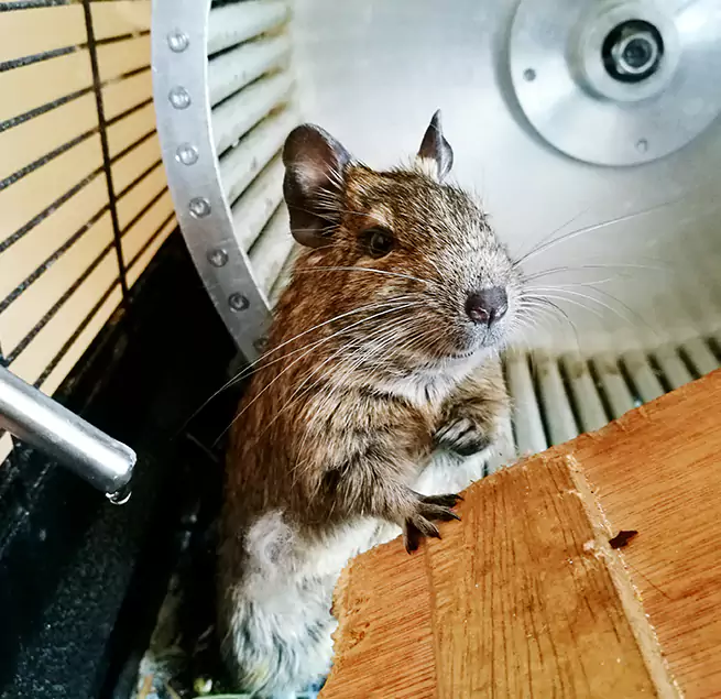 Why Homeowners & Businesses Trust Us Hastings, MN