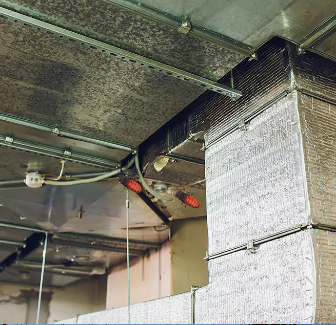 Why Homeowners & Businesses Trust Us Hastings, MN?